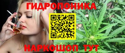 сатива Сланцы