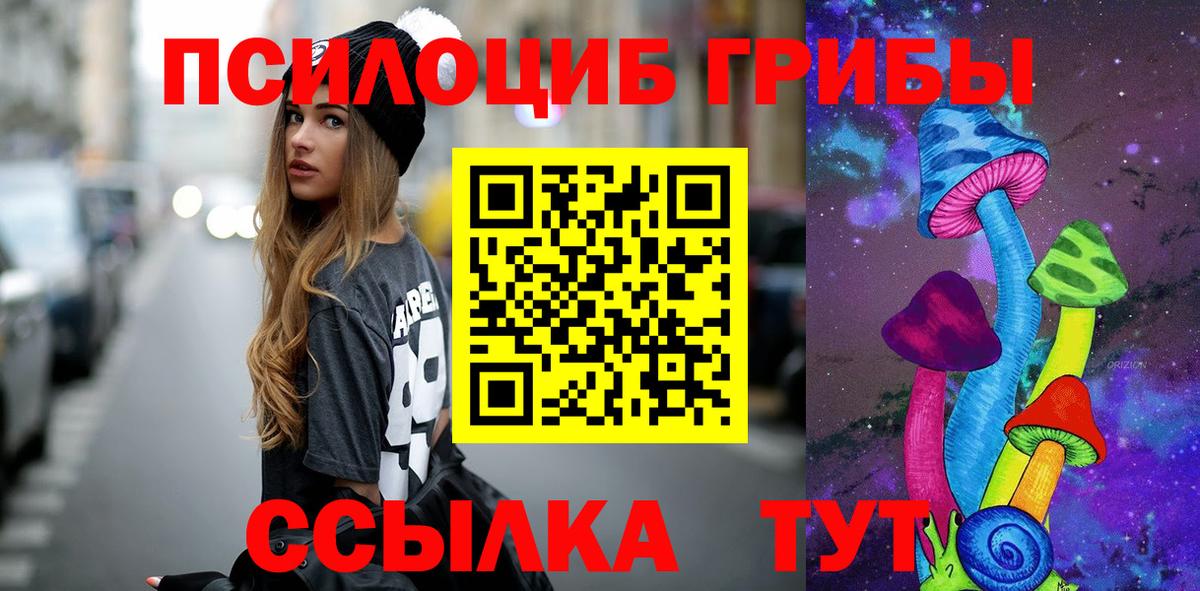 Галлюциногенные грибы Cubensis  Вход с VPN  Сердобск 