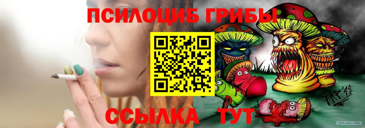 Псилоцибиновые грибы Magic Shrooms Сердобск